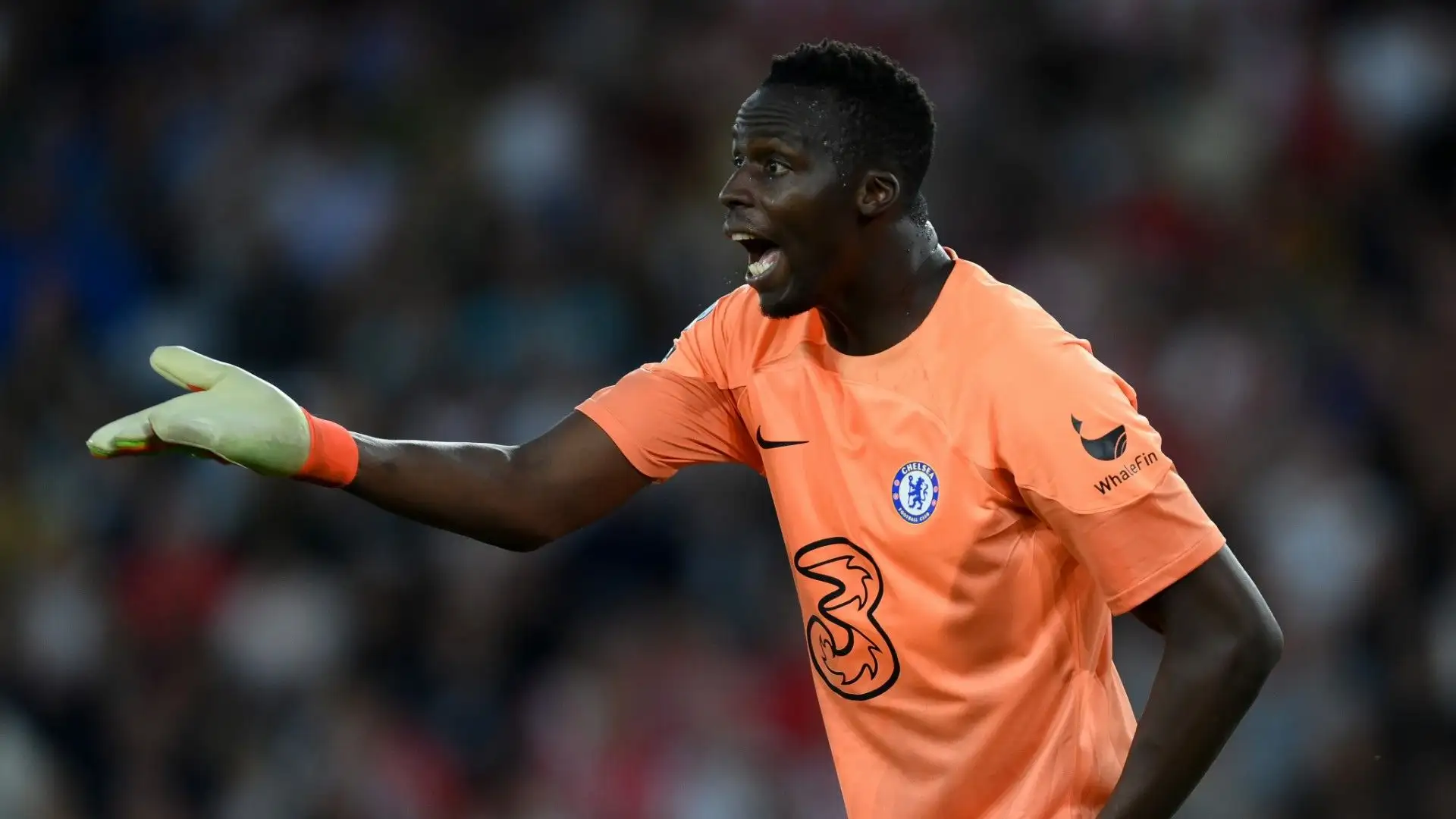 Gli Spurs sono alla ricerca di un sostituto di Hugo Lloris e stanno pensando a Edouard Mendy