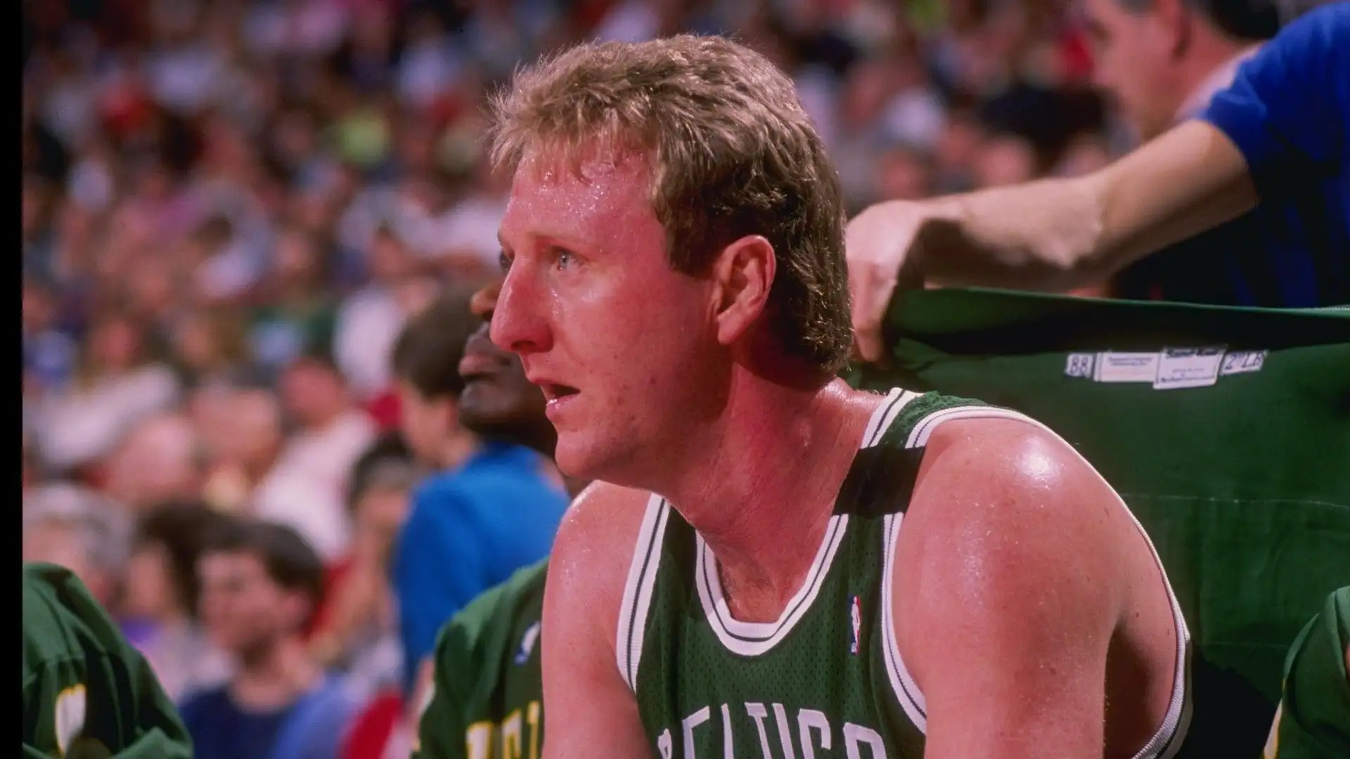 Larry Bird - È stato, per tutta la sua carriera, un giocatore dei Boston Celtics, con cui ha vinto tre titoli
