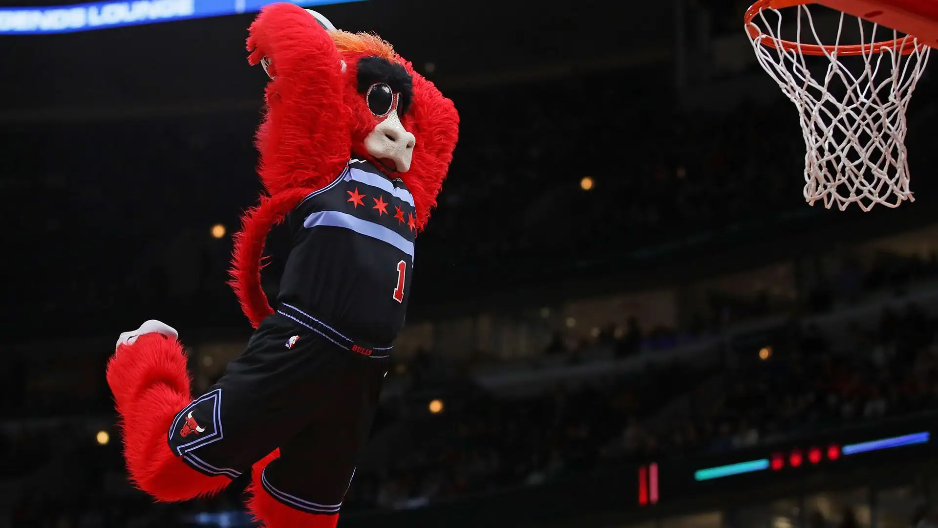 Benny The Bull (Chicago Bulls)