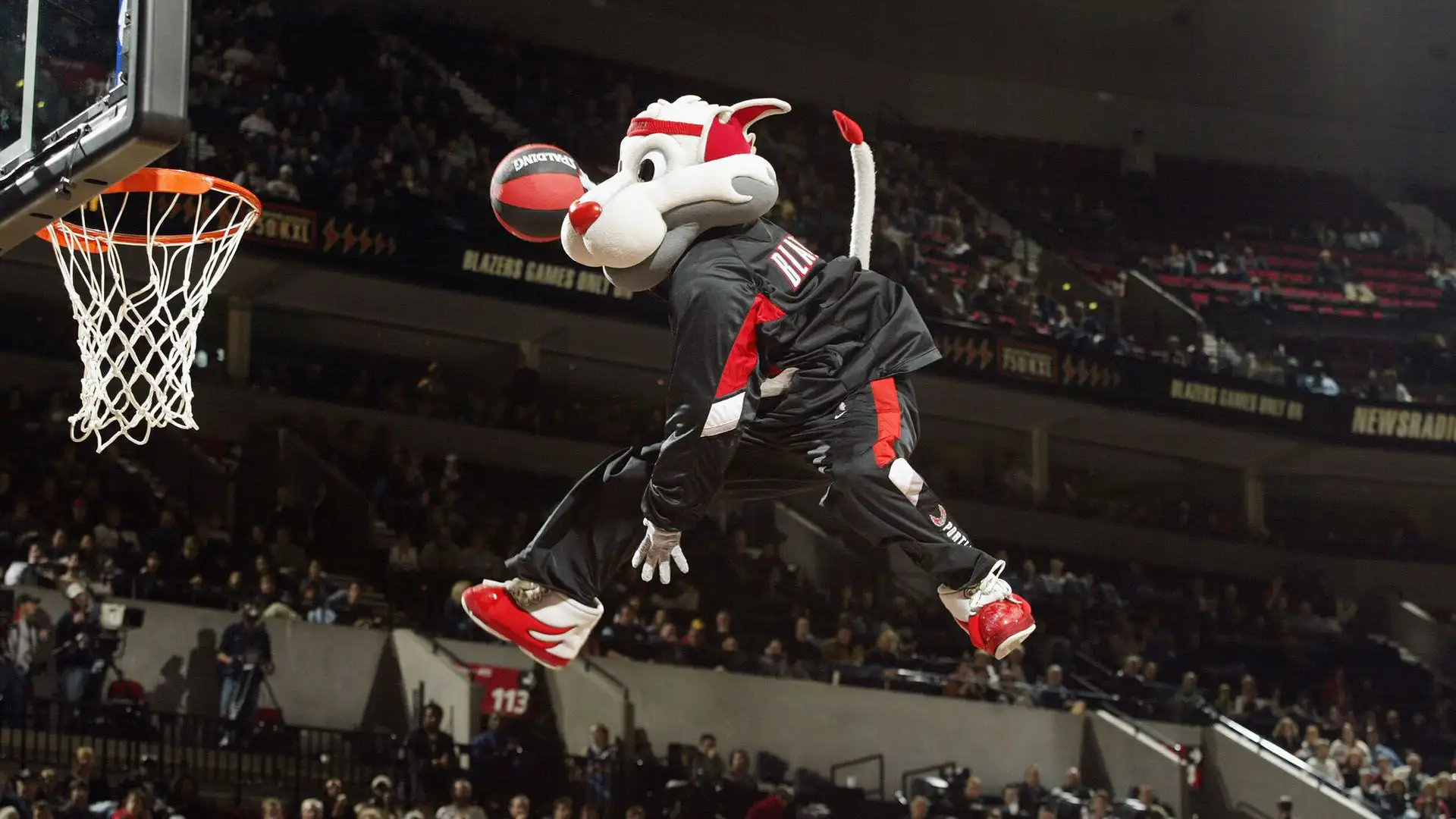 Blaze the Trail Cat (Portland Trail Blazers)