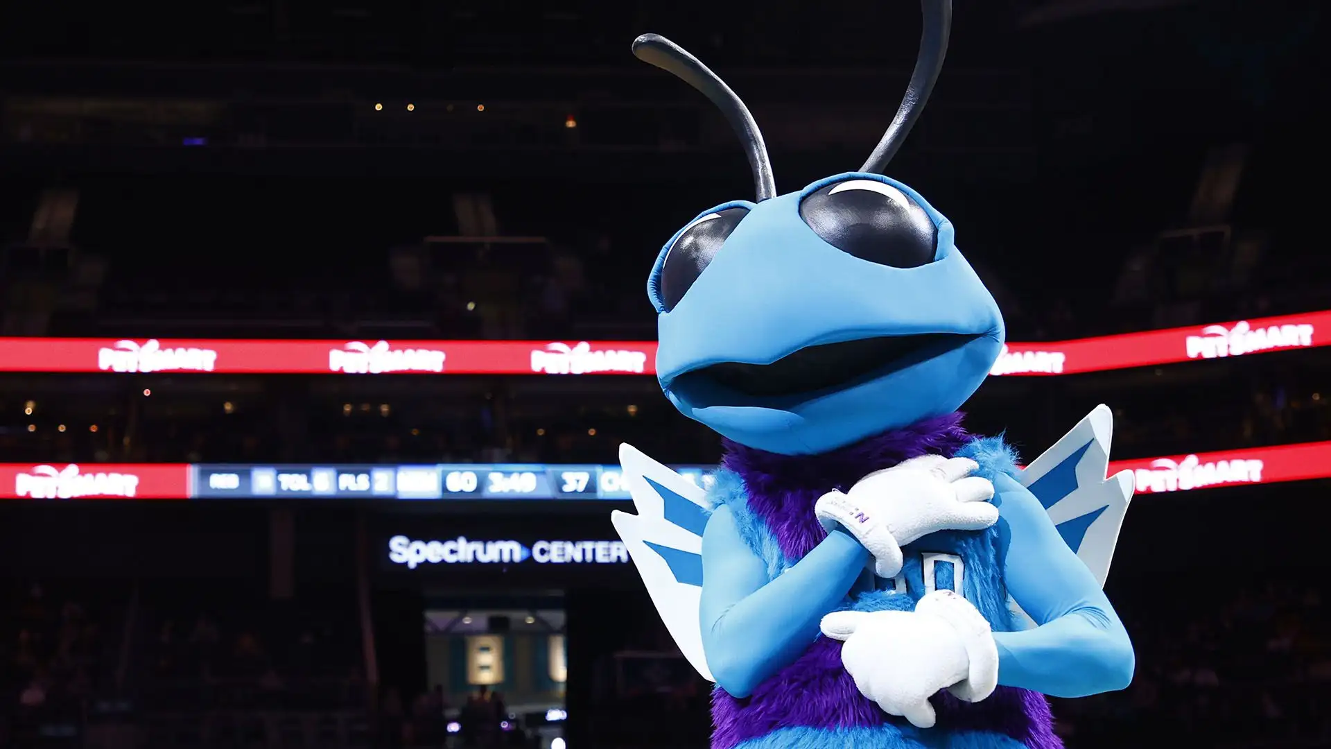 Hugo the Hornets (Charlotte Hornets)