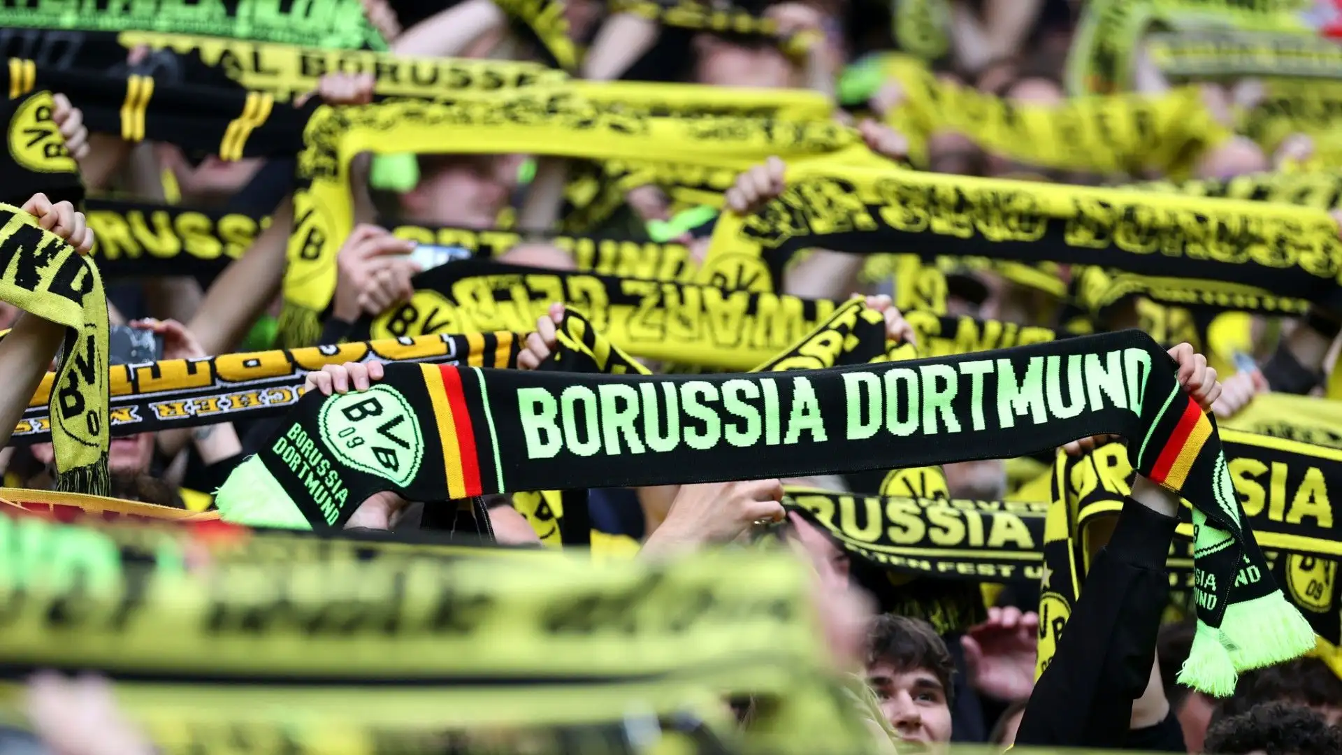 Il pubblico è stato fantastico