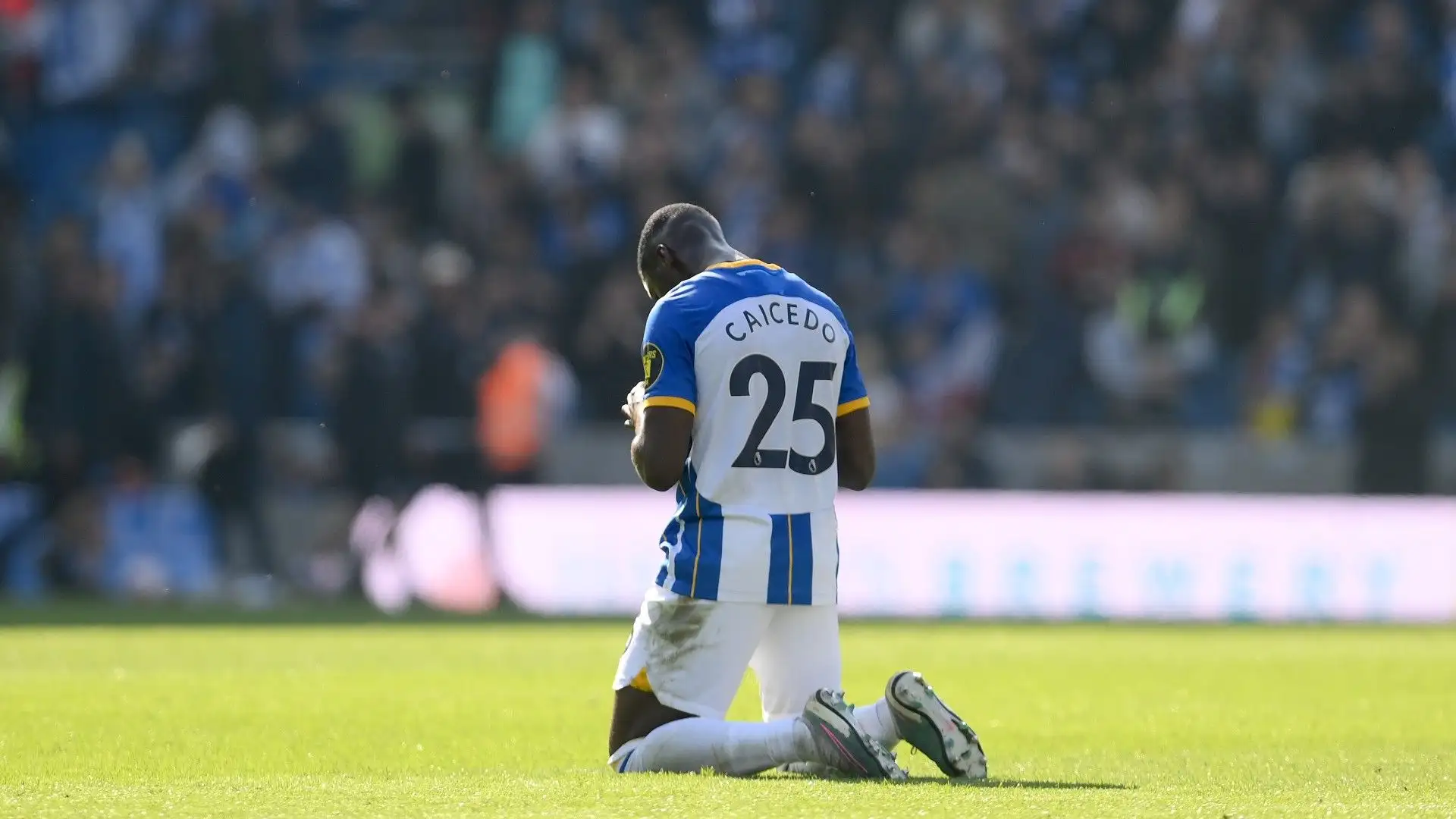 Il calciatore in questa stagione ha offerto prestazioni incredibili che hanno aiutato il Brighton a conquistare l'accesso alla prossima Europa League