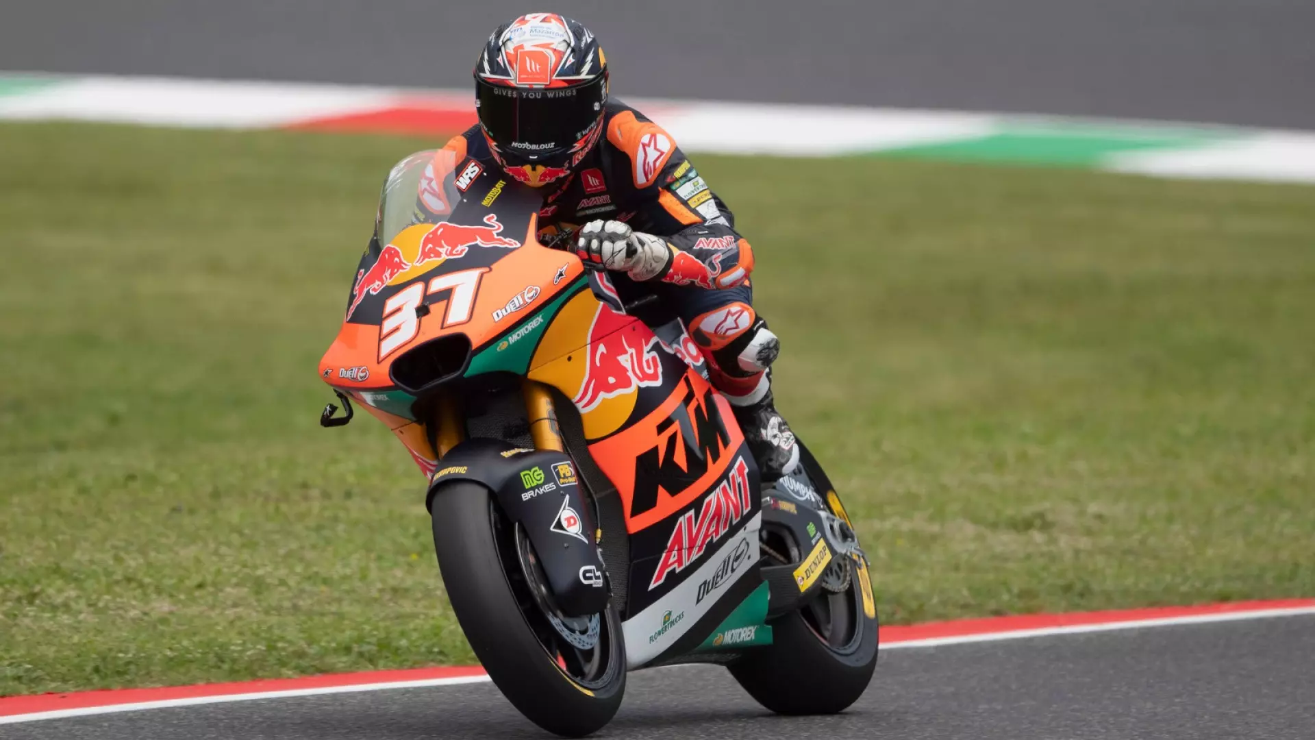 Moto2 Mugello: trionfa Pedro Acosta, Tony Arbolino sul podio