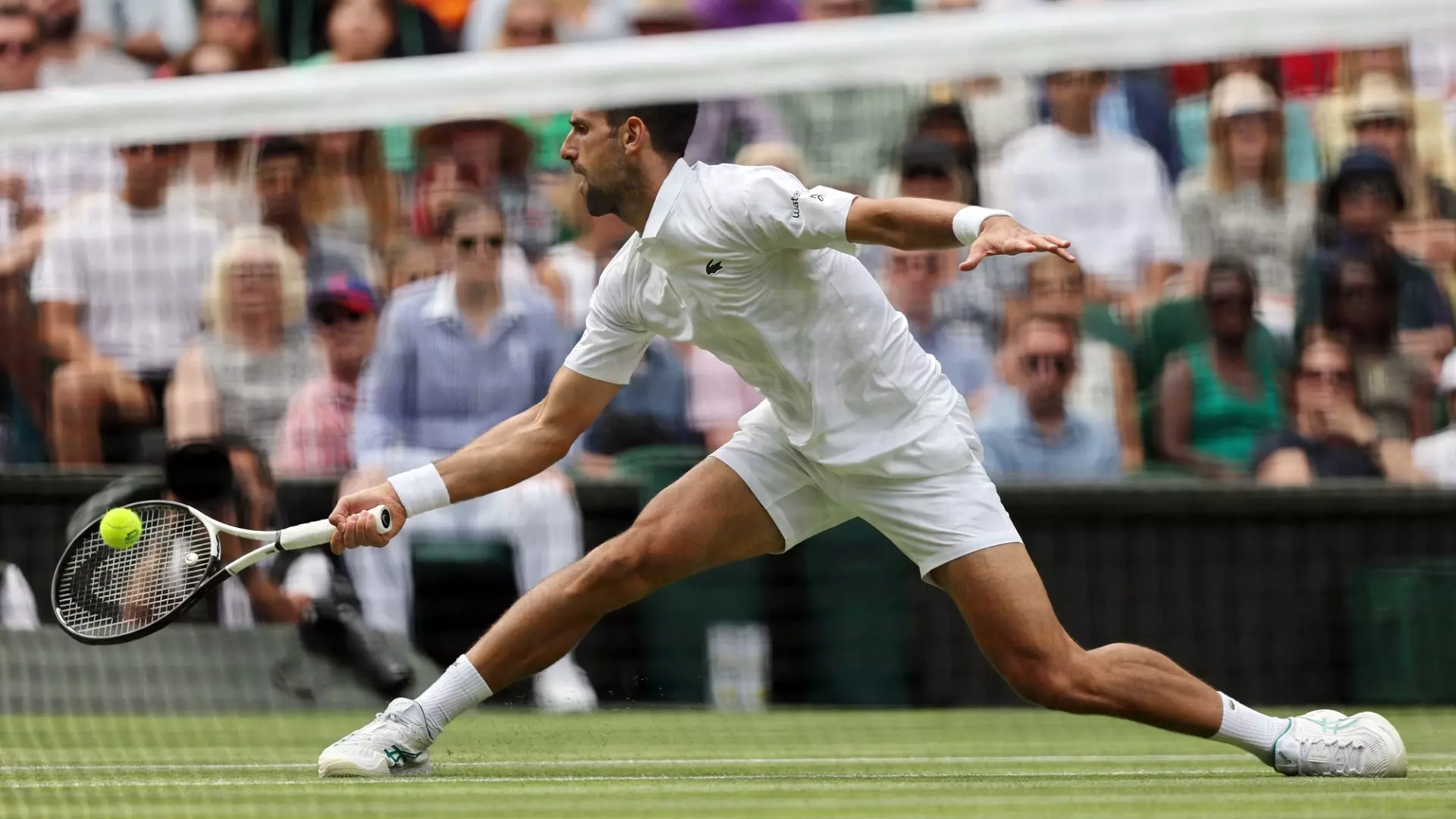 Wimbledon: Djokovic e Medvedev ai quarti. Tsitsipas ko a sorpresa
