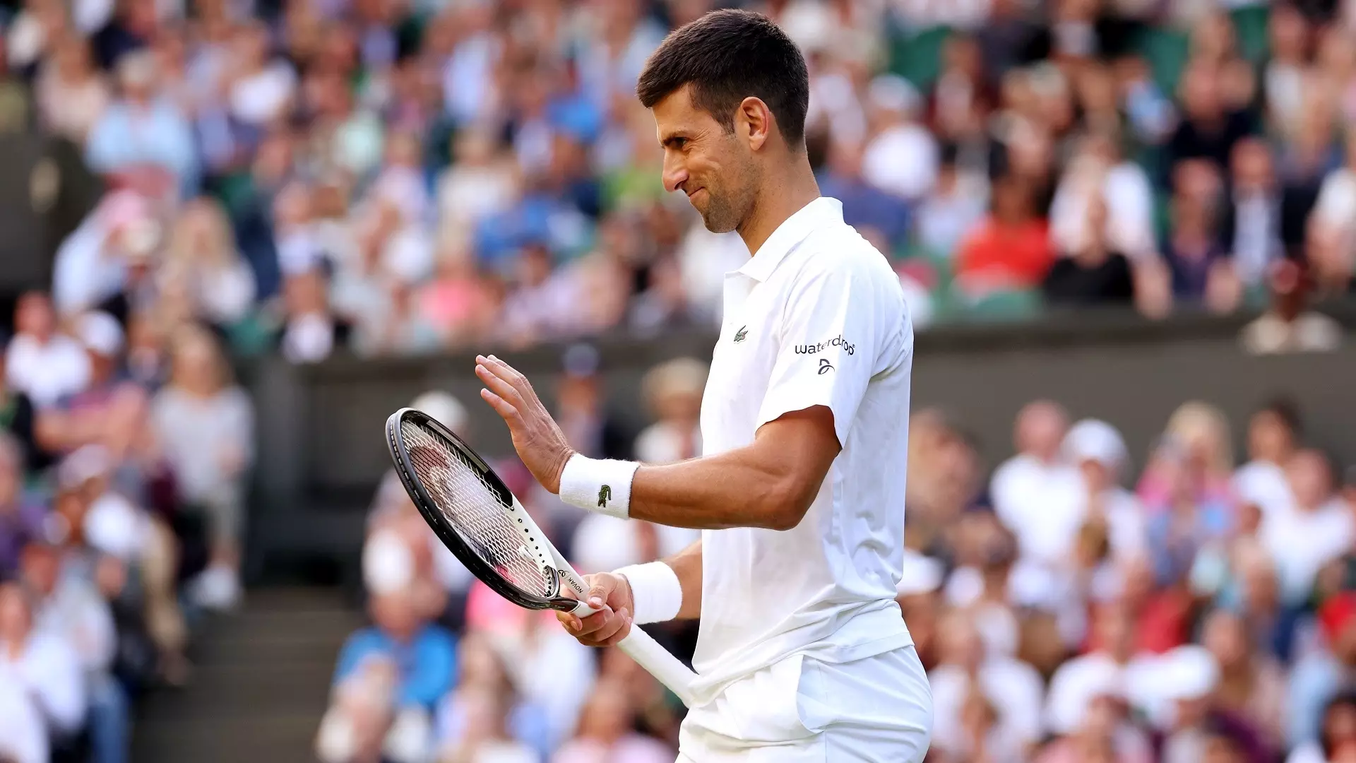 Wimbledon 2023, Novak Djokovic e Iga Swiatek sono già al terzo turno