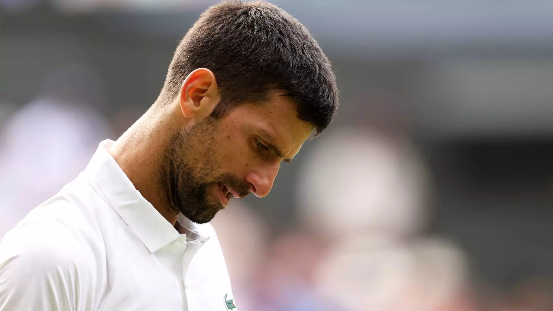 Novak Djokovic delude i canadesi