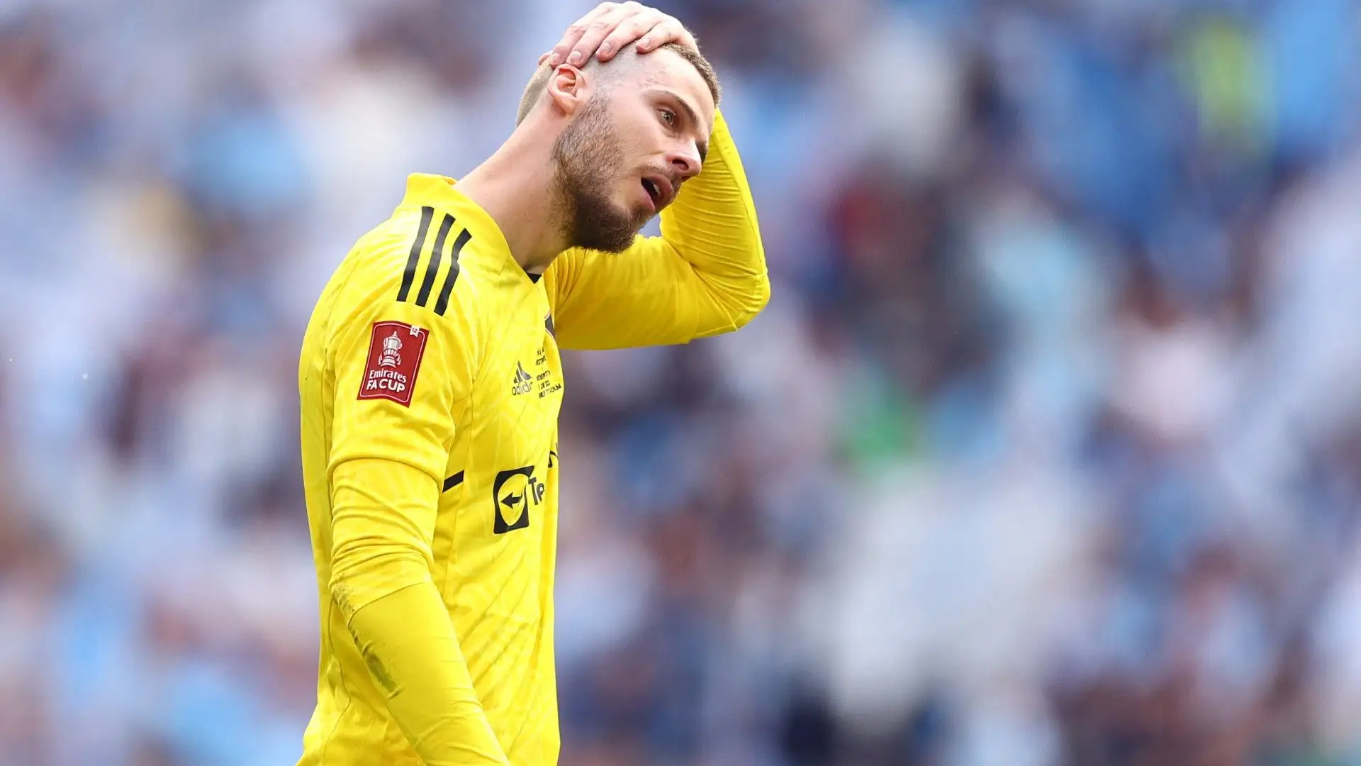 Prima di cimentarsi in Premier, lo spagnolo ha difeso i pali dell'Atletico Madrid
