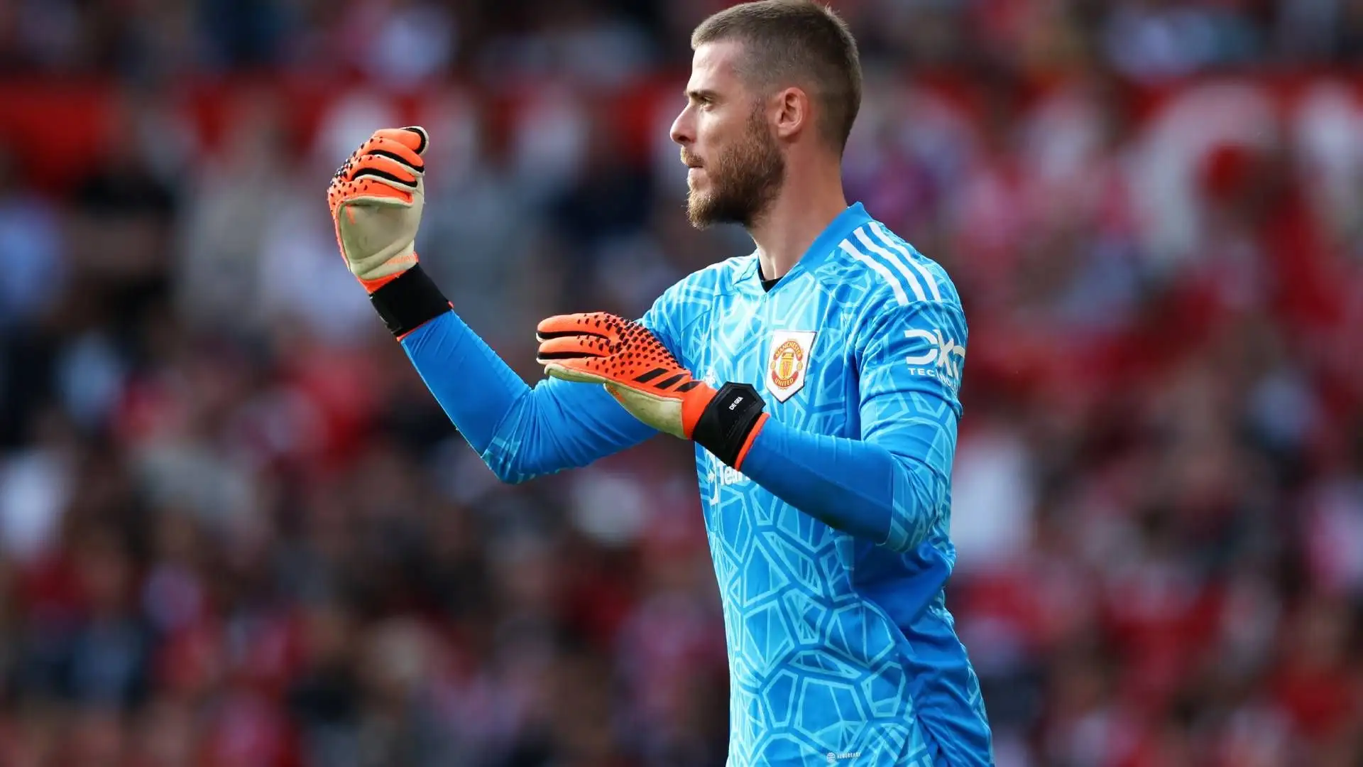 'Marca' ha individuato una lista di possibili sostituti: tra questi c'è David De Gea, svincolatosi dal Manchester United, che non gli ha rinnovato il contratto
