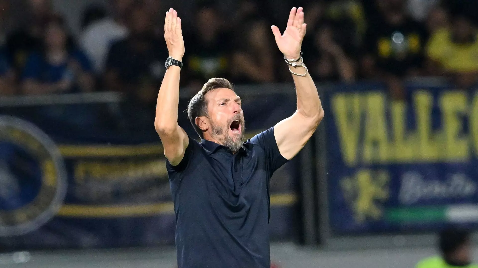 Frosinone, quattro rinforzi per Eusebio Di Francesco: c’è anche Ibrahimovic