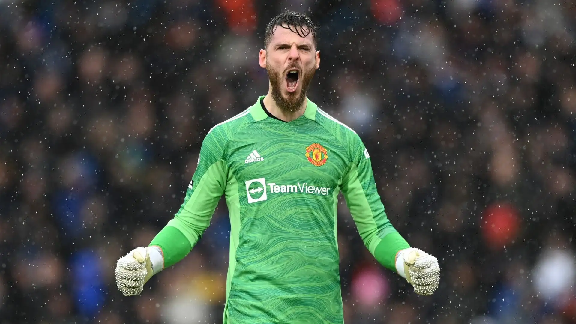 8- David de Gea: ora è svincolato ma negli anni scorsi è sempre stato al top
