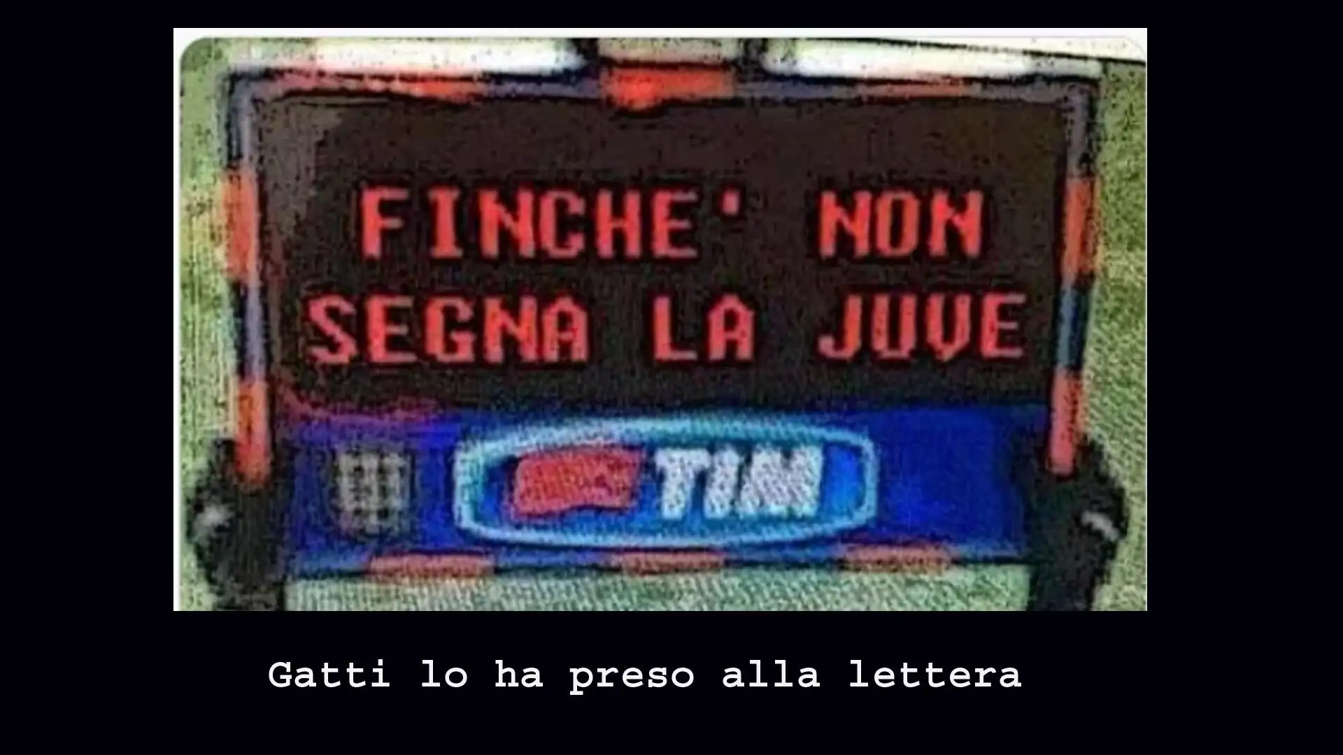 Tra i più bersagliati Gatti