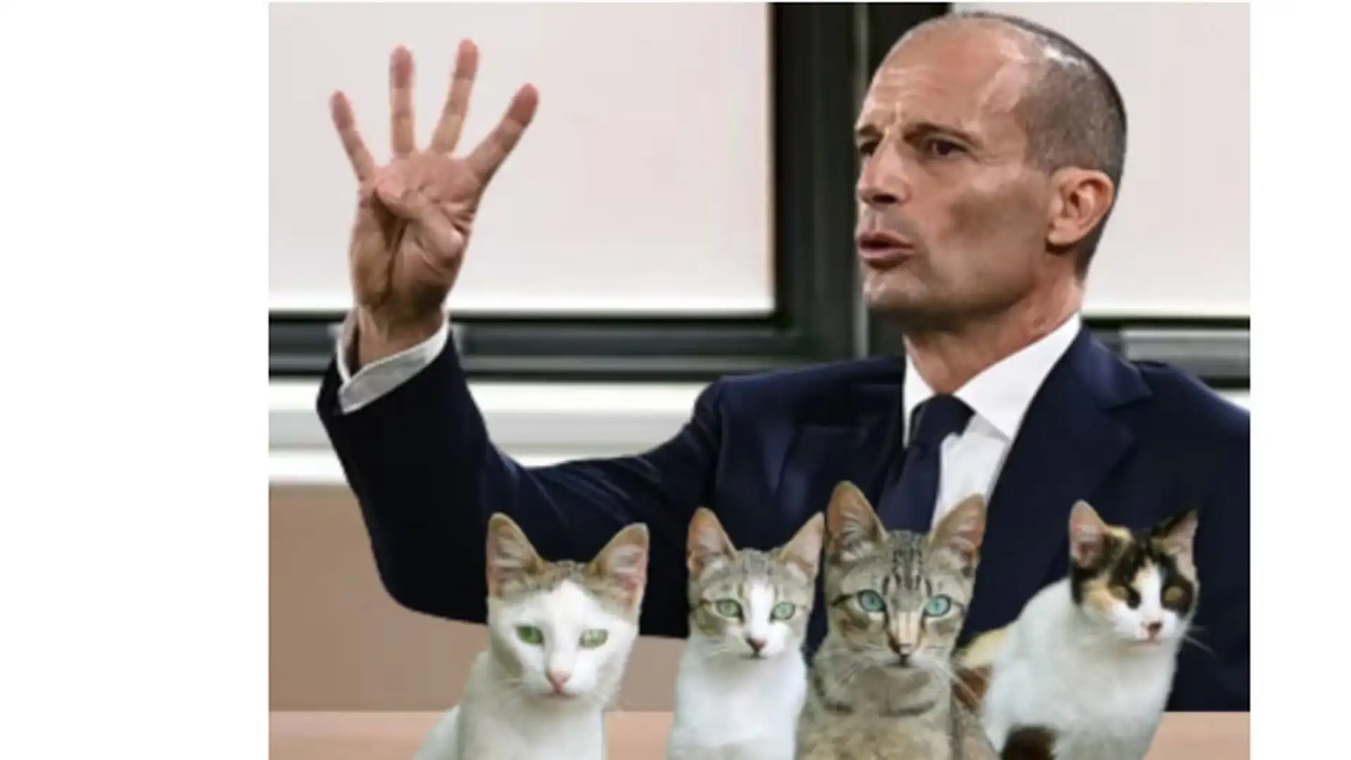 Allegri fa quattro conti con quattro... gatti