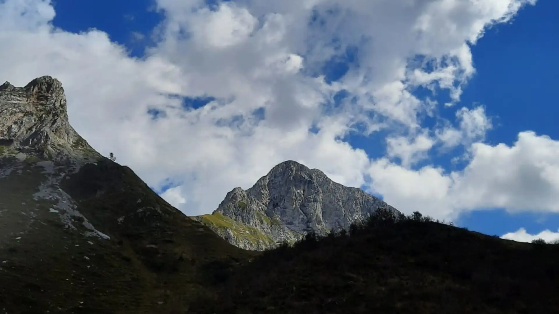 5- Se cammini d'estate in montagna cerca di fare rumore con racchette o altro: allontanerai le vipere
