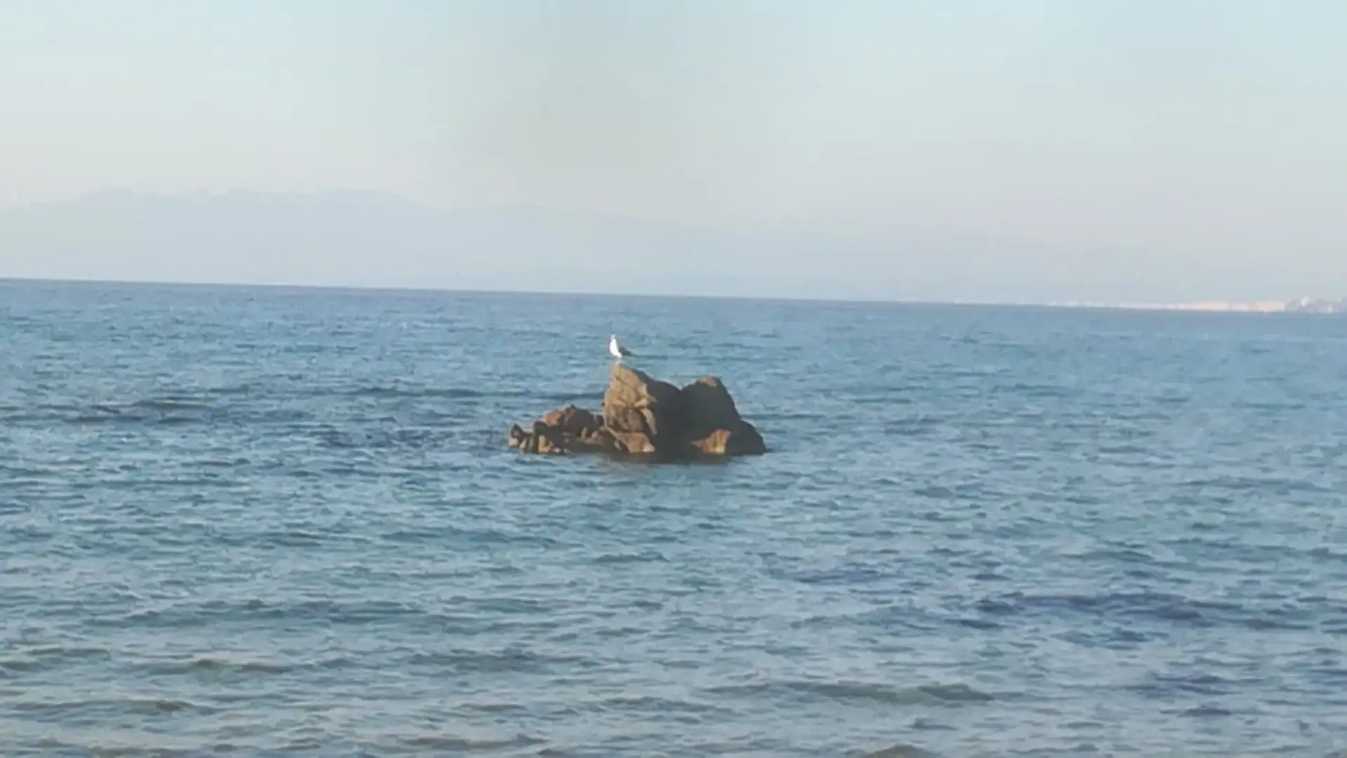Prima di entrare in acqua bisogna mangiare leggero e aspettare almeno due ore prima di tuffarsi
