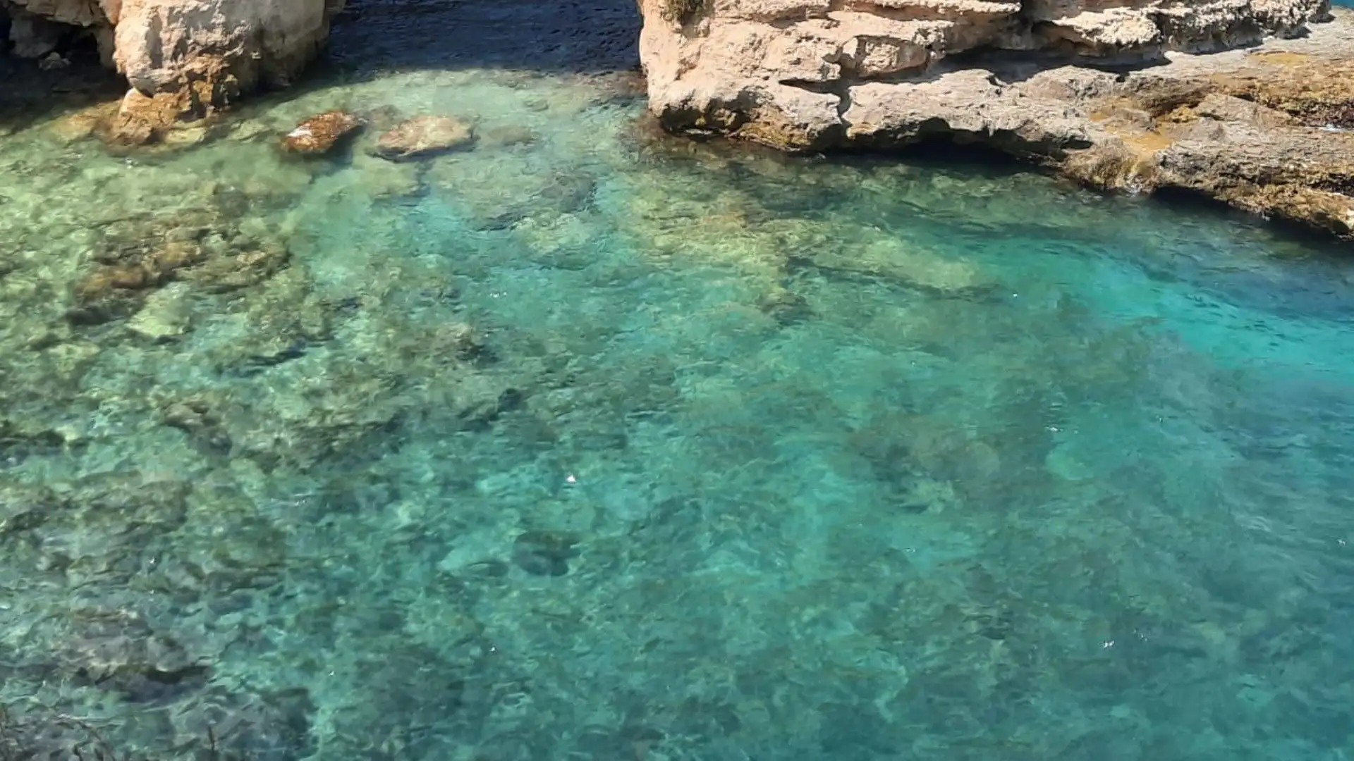 Se la corrente è forte torna a riva: potresti esaurire presto le tue energie e trovarti in difficoltà
