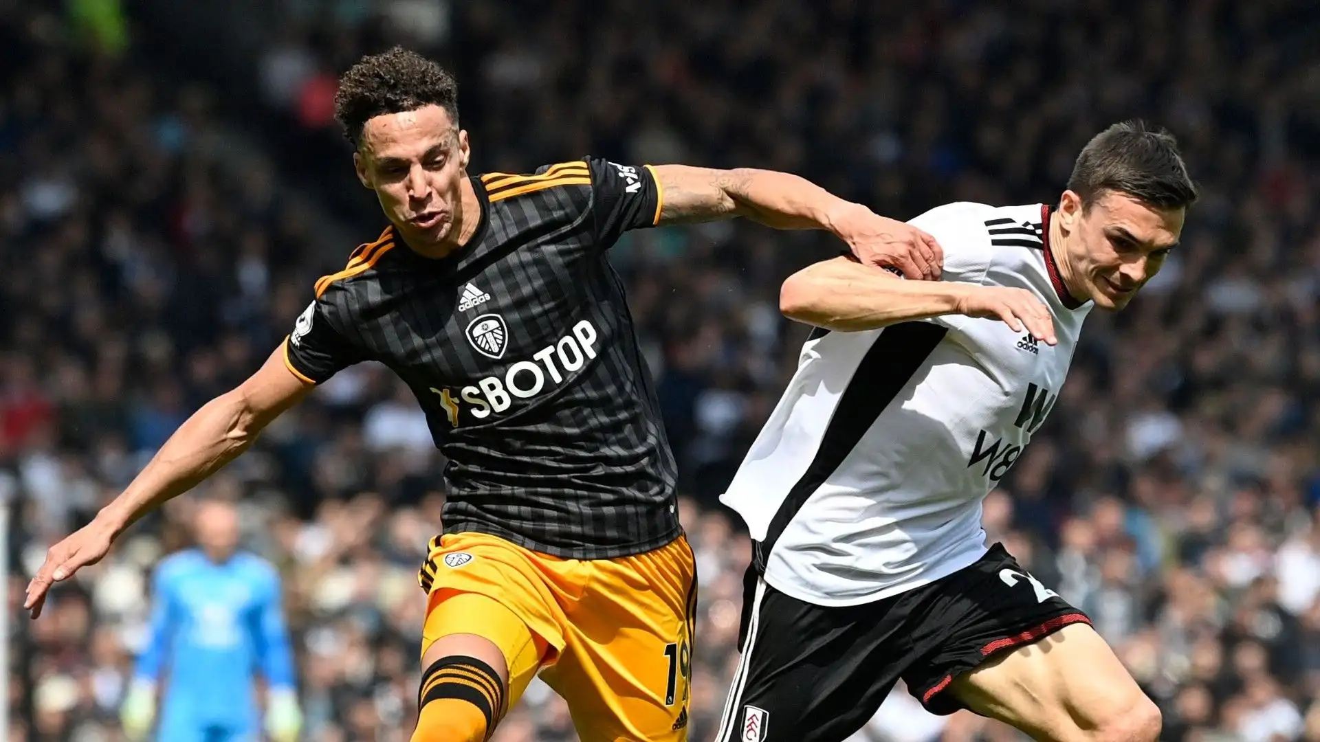 Il Fulham ha creduto in lui pagandolo poco più di 20 milioni di euro
