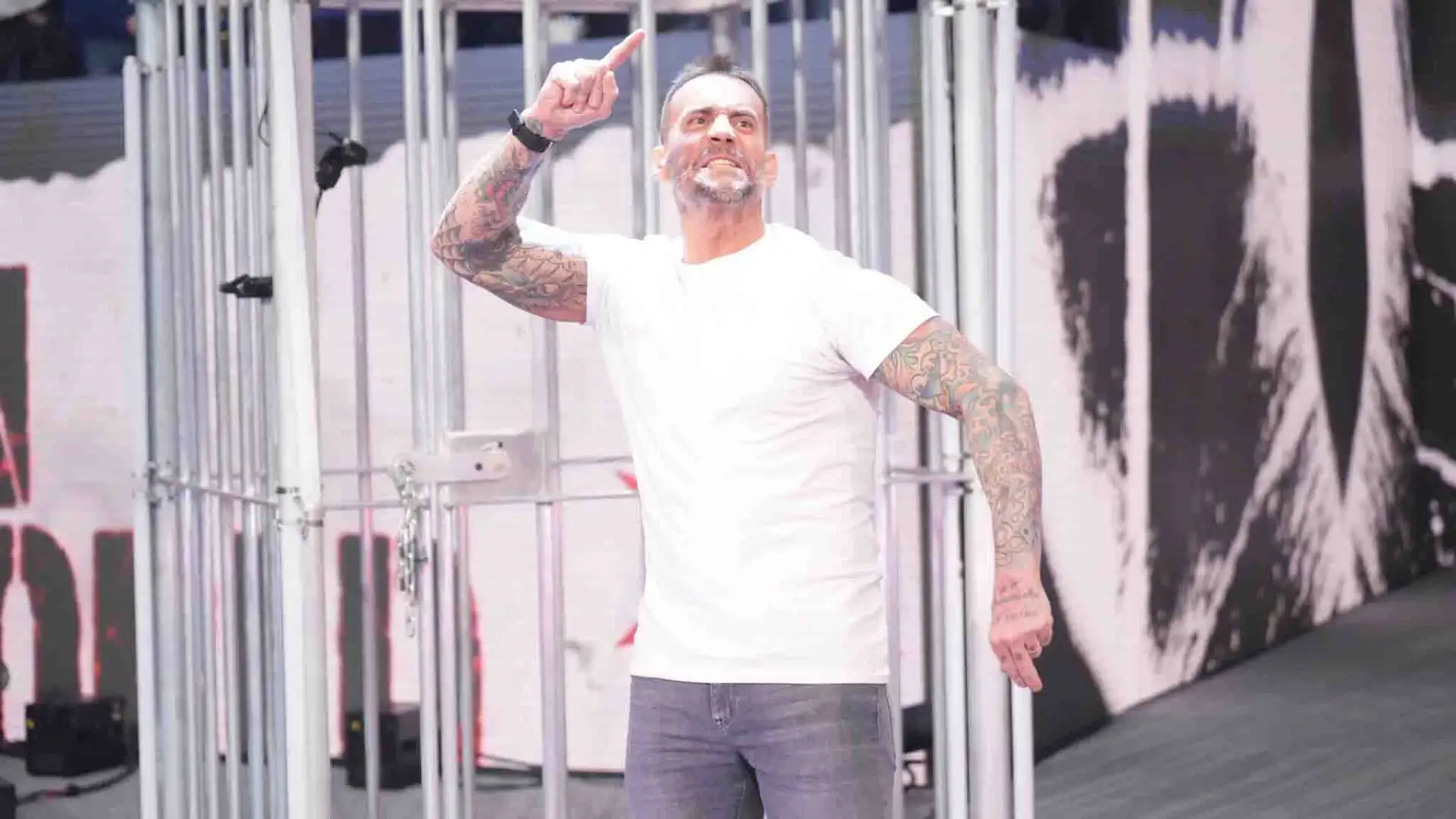 Ci sarà anche CM Punk.