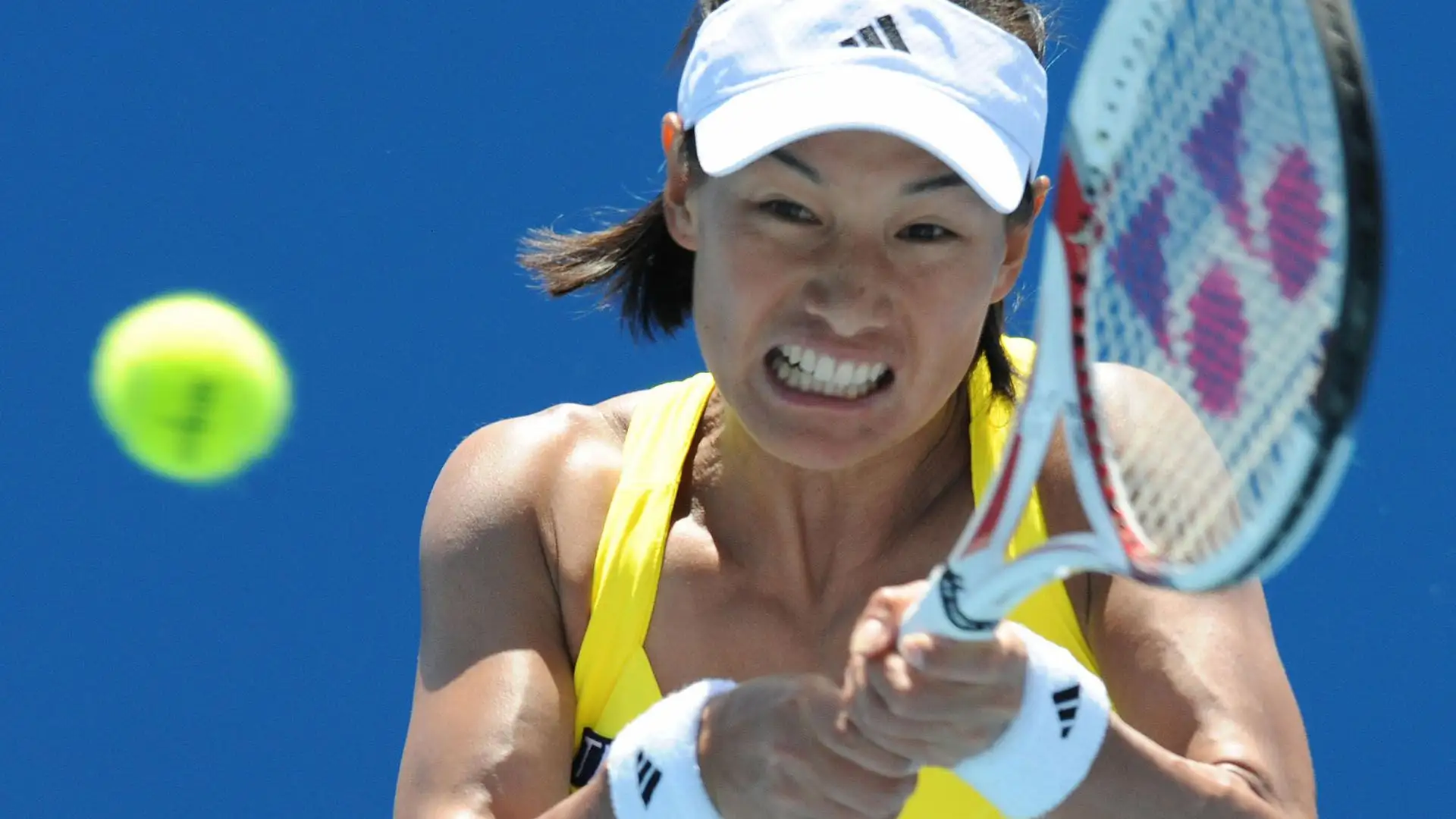 Kimiko Date: premi guadagnati in carriera 3,988,378 $