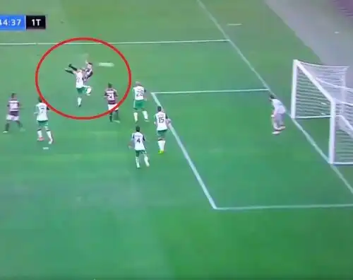 Belotti gol da leggenda, esulta il Torino