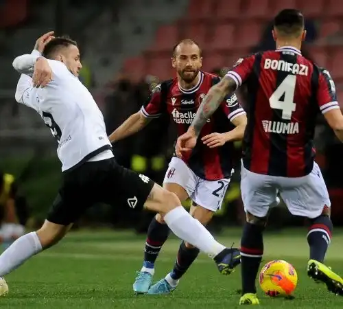 Arnautovic ribalta il Bologna: lo Spezia va ko