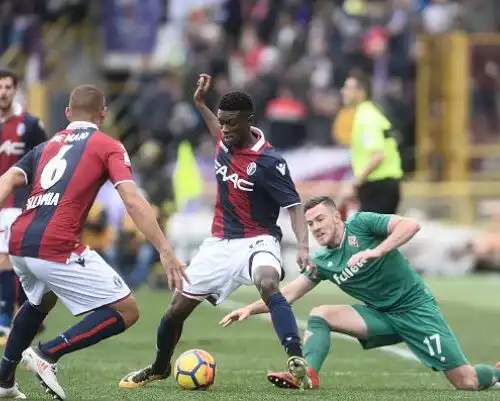 Bologna-Fiorentina 1-2