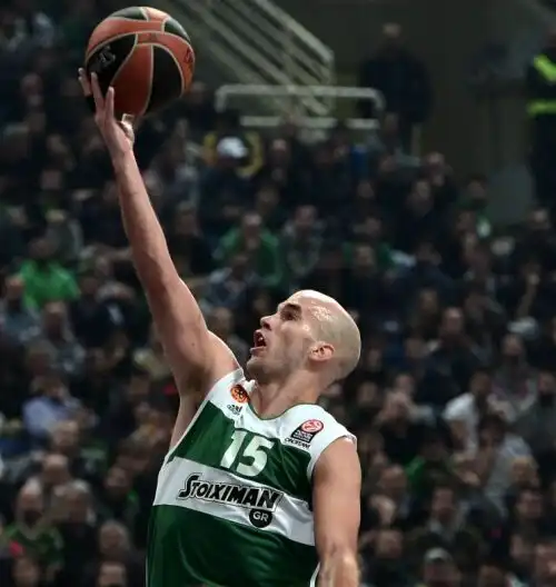 Olimpia, pianto greco: vince il Panathinaikos