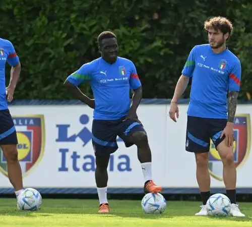 Chi è Wilfried Gnonto, il nuovo gioiello della Nazionale. Le foto