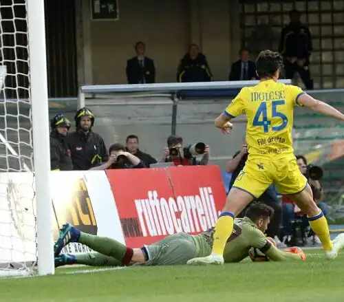 Chievo-Torino 0-0