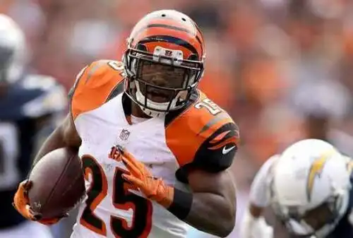 NFL, applausi ai Bengals