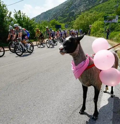 Dal Giro pizza al Giro cannolo al Giro arrosticino: che spettacolo!