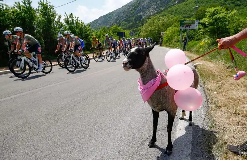 Il Giro d'Italia regala anche emozioni a livello culinario
