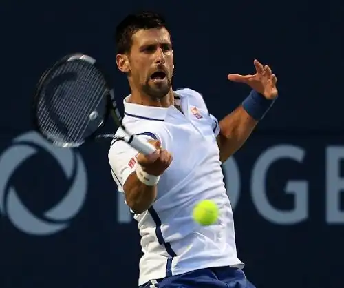 Us Open: Tsonga k.o., avanza Djokovic