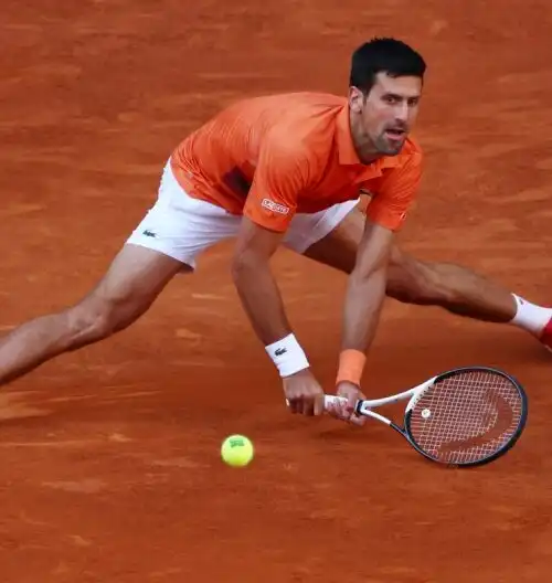 Novak Djokovic ko: le sue incredibili parole su Carlos Alcaraz