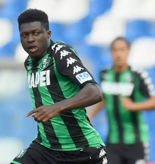 Spal, Grassi in bilico: due alternative