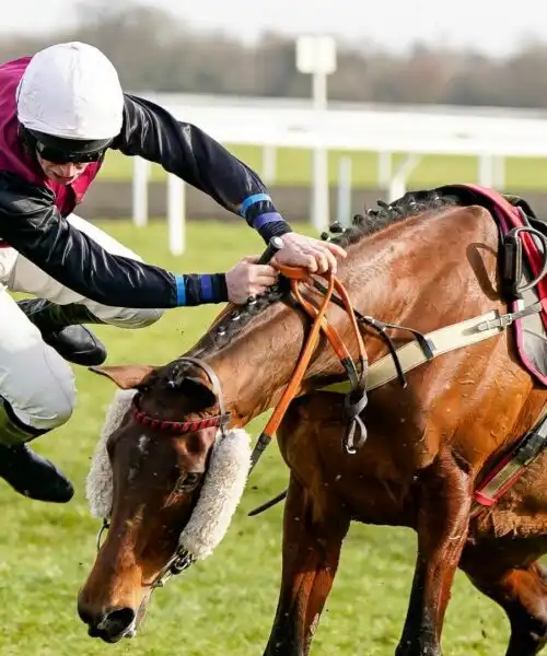 Fantino cade da cavallo: che paura! Le foto