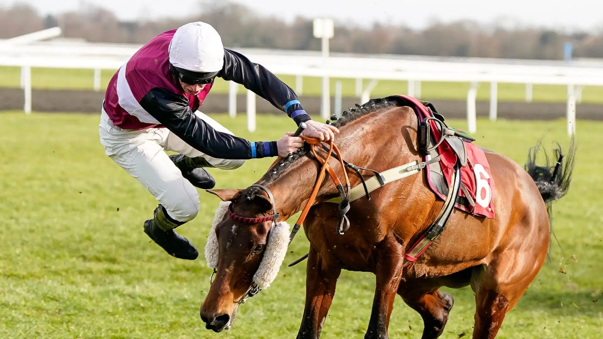 Fantino cade da cavallo: che paura! Le foto