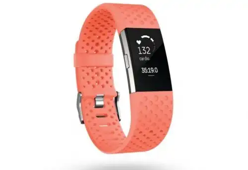Con Fitbit i nuovi cinturini Sport
