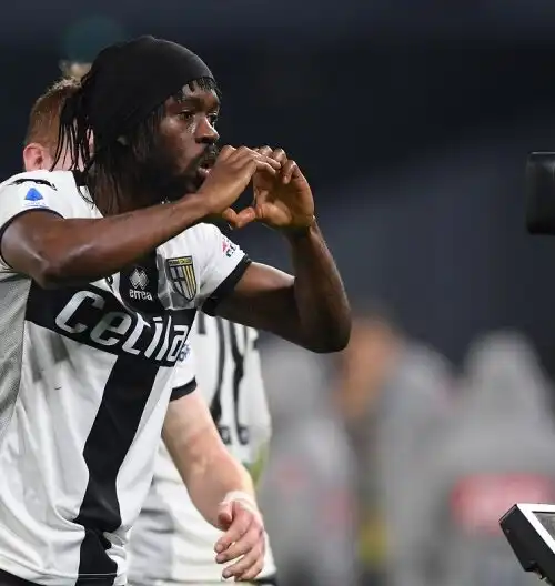 Il Parma considera ceduto Gervinho