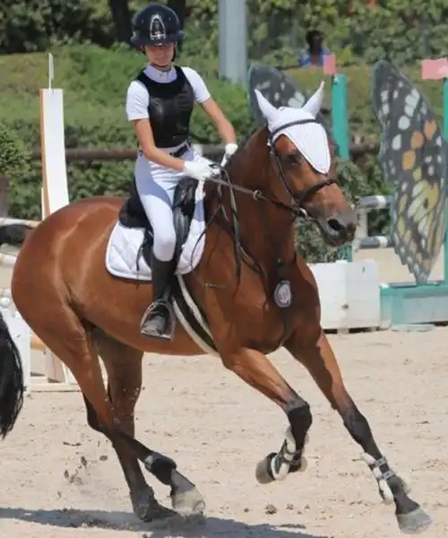 Ludovica Motta a cavallo verso un sogno: “Mi impegno e mi diverto”