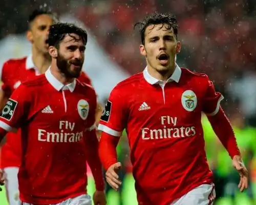 Napoli, occhi su Grimaldo del Benfica