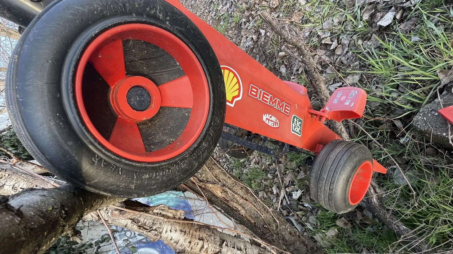 Un singolare avvistamento in Lombardia