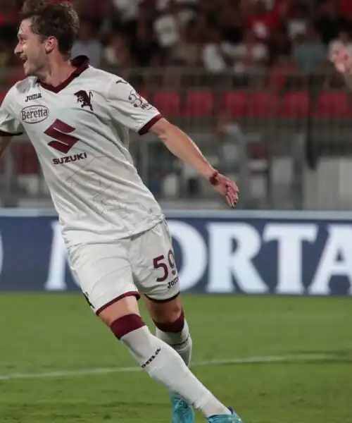 Le pagelle di Monza-Torino 1-2