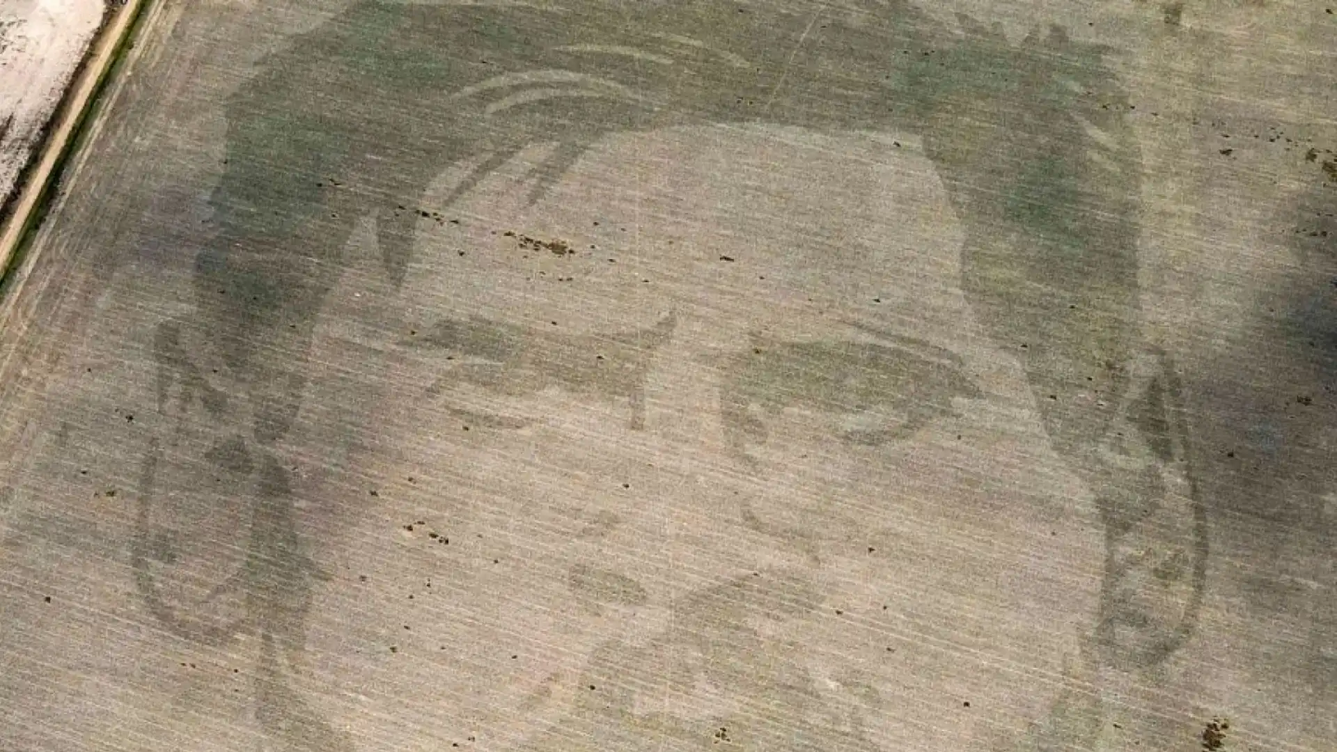 Lionel Messi su un campo di mais: le foto