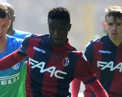 Bologna, Mbaye rinnova