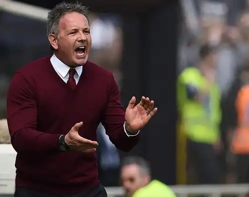 Torino, c’è un pallino di Mihajlovic