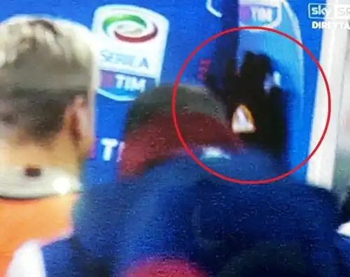 Mihajlovic, manata al cartellone e steward ferito