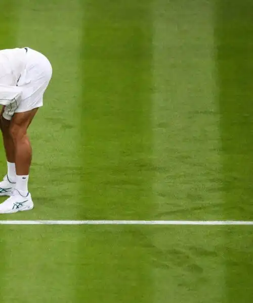Novak Djokovic nuovo giardiniere di Wimbledon: le foto sono tutte da ridere