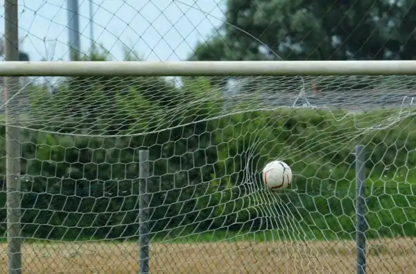 Piacenza e Pordenone in festa, male il Monza