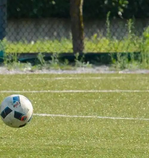 Serie D, in 23 chiedono il ripescaggio. Anche il Livorno